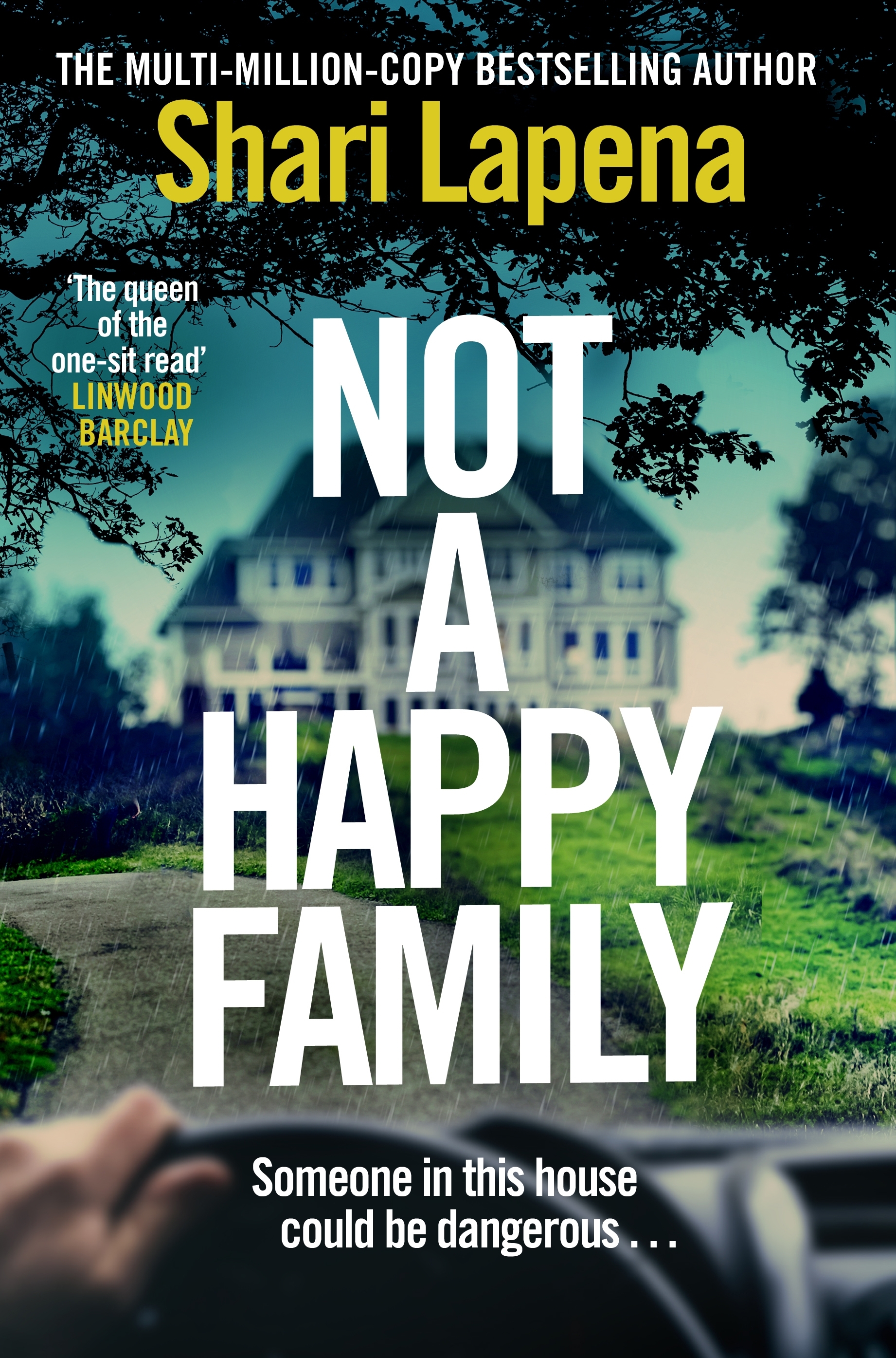 Cover of Not a Happy Family by Shari Lapena