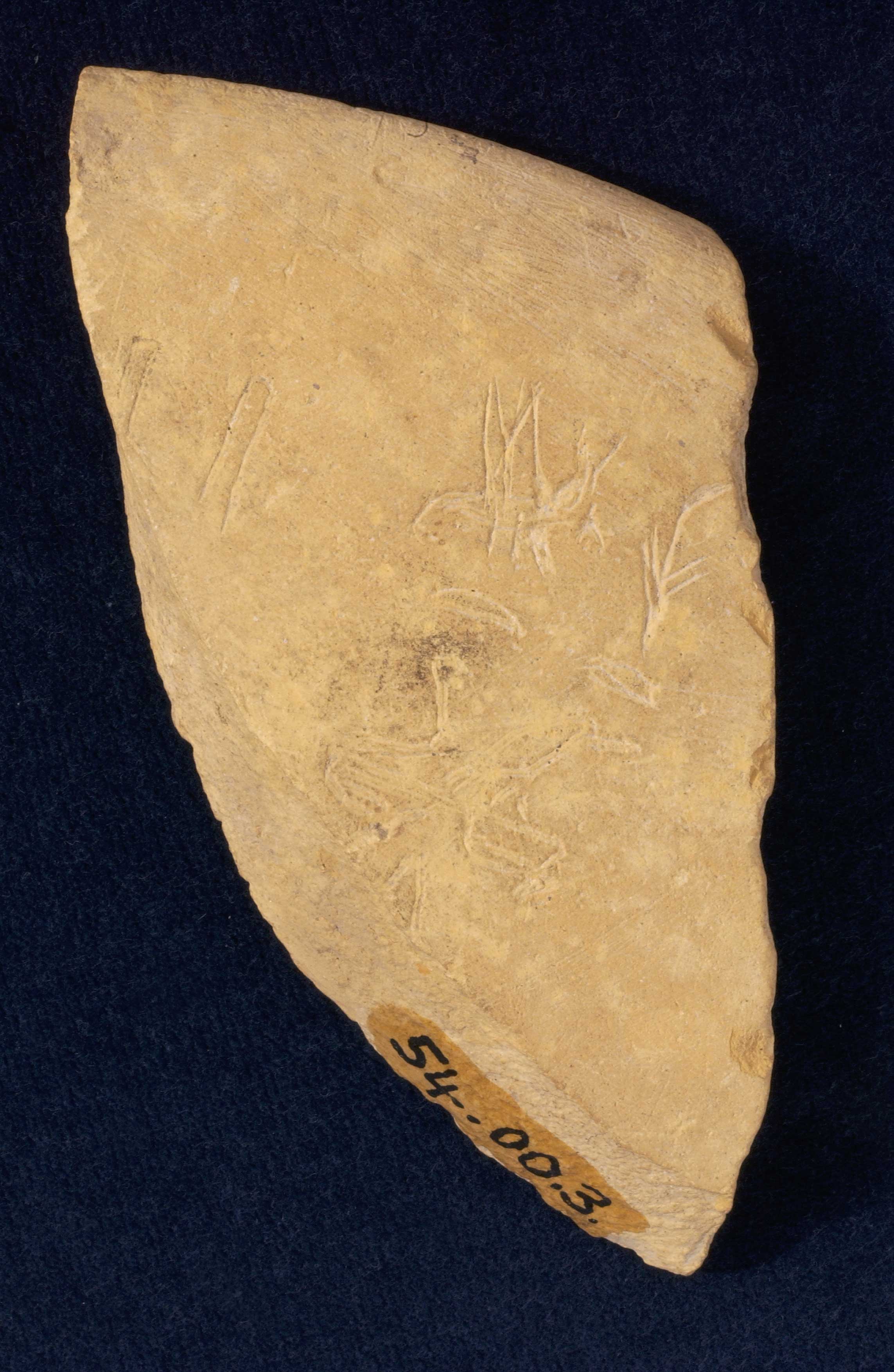 Stone bowl sherd