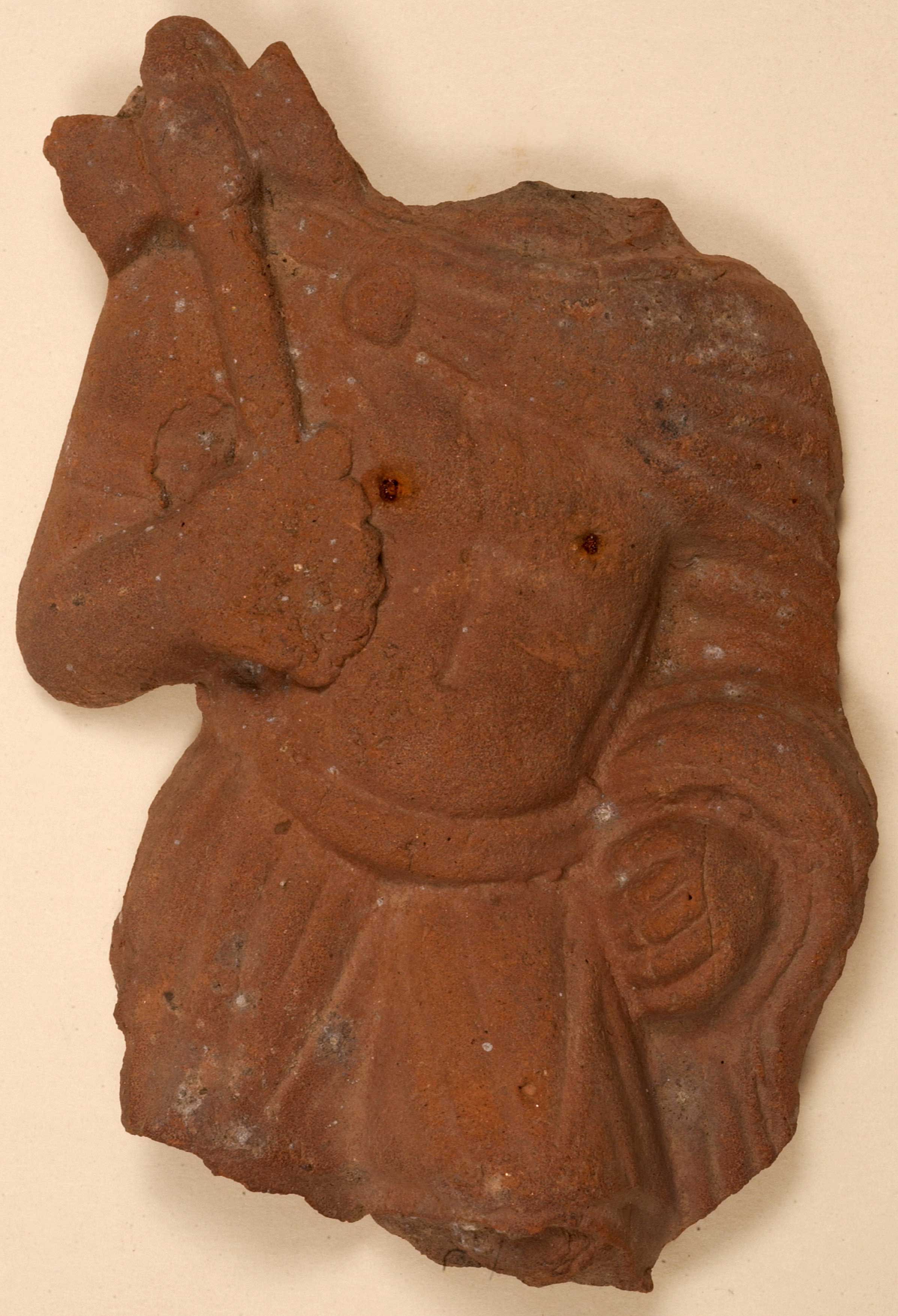 Male torso