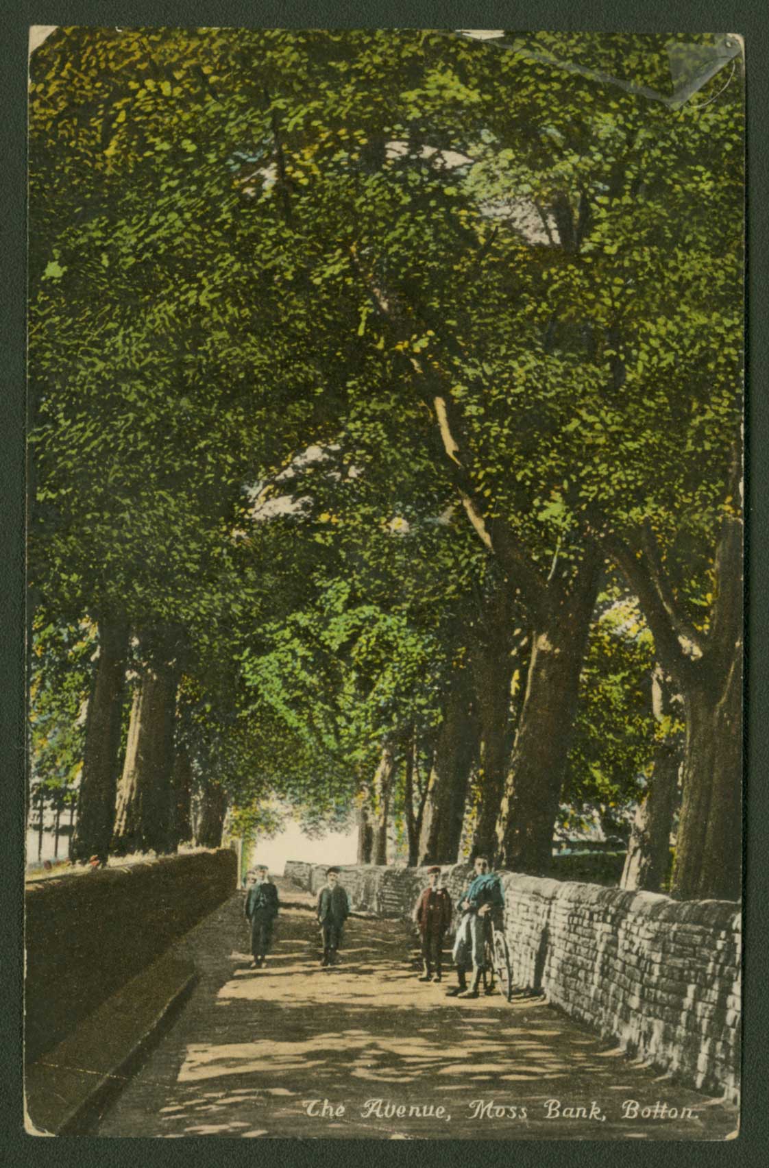 The Avenue, Moss Bank