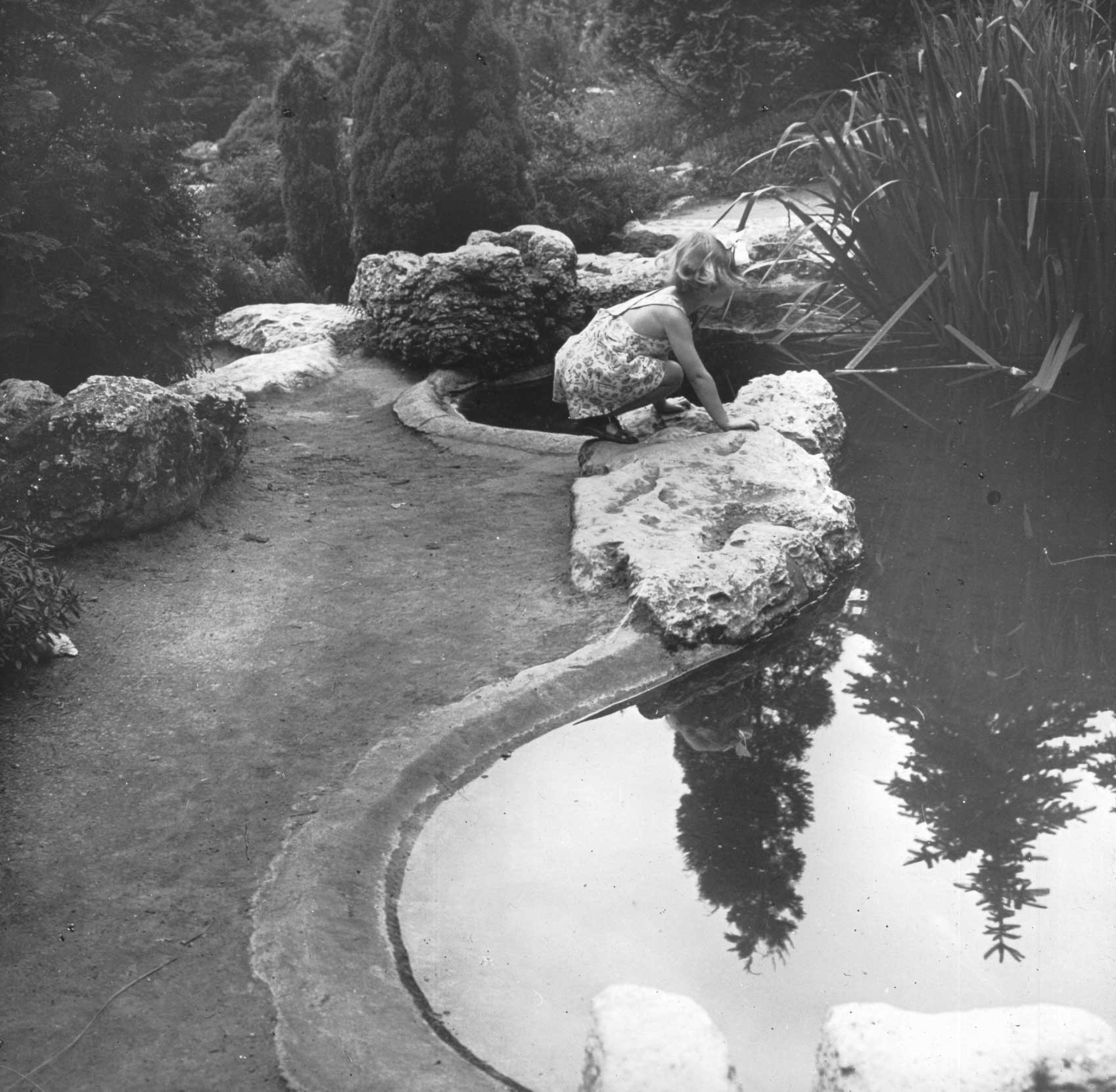 Rock pond in a Bolton park