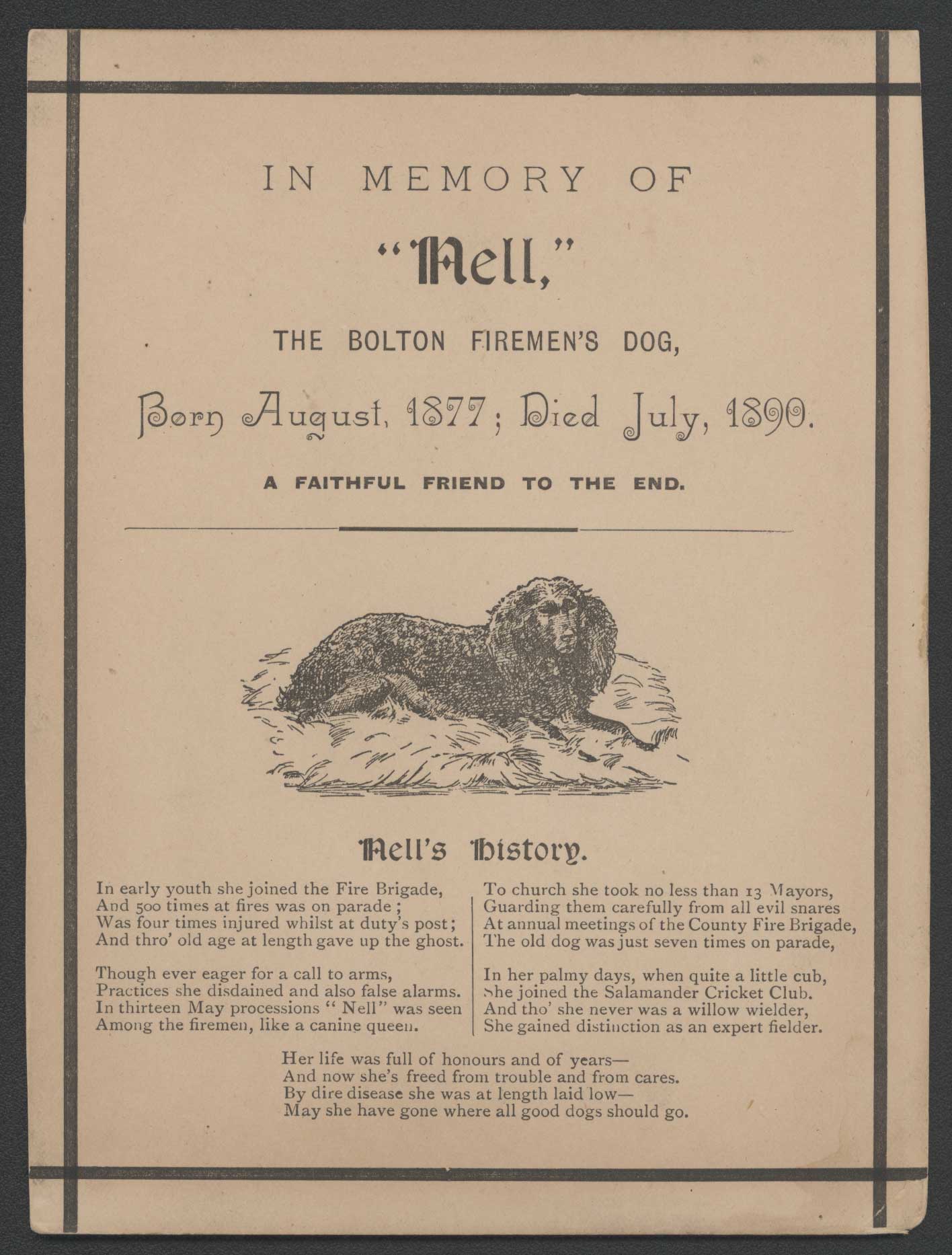 Nell, the Bolton Firemens Dog