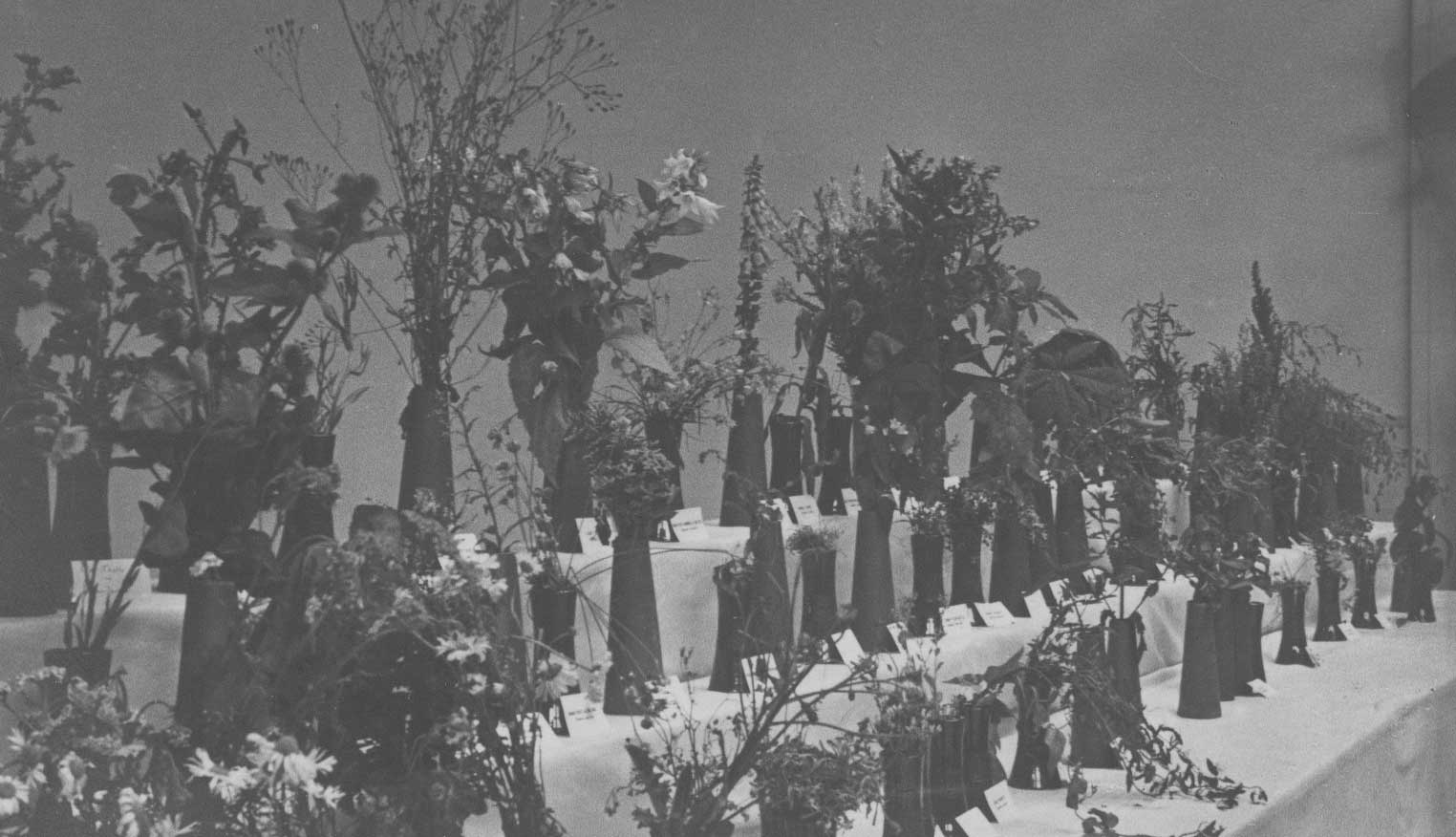 Bolton Museum and Art Gallery