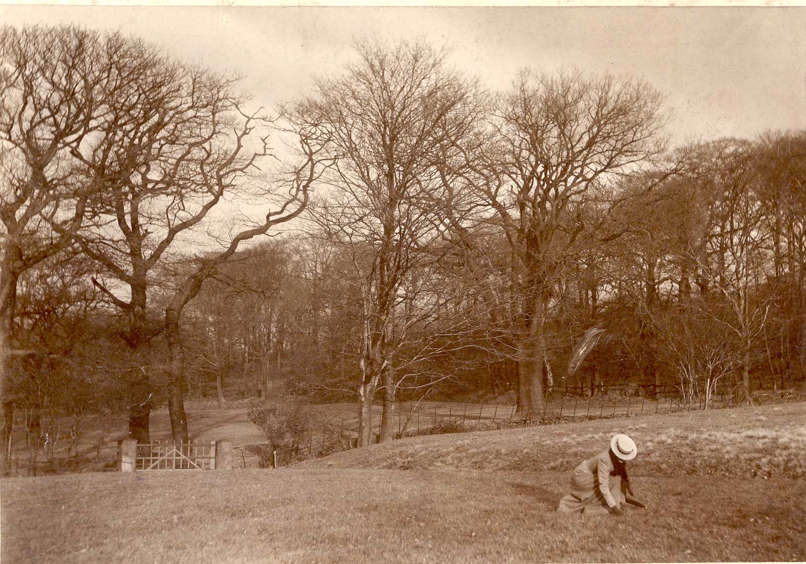 Rivington - Lever Park 6