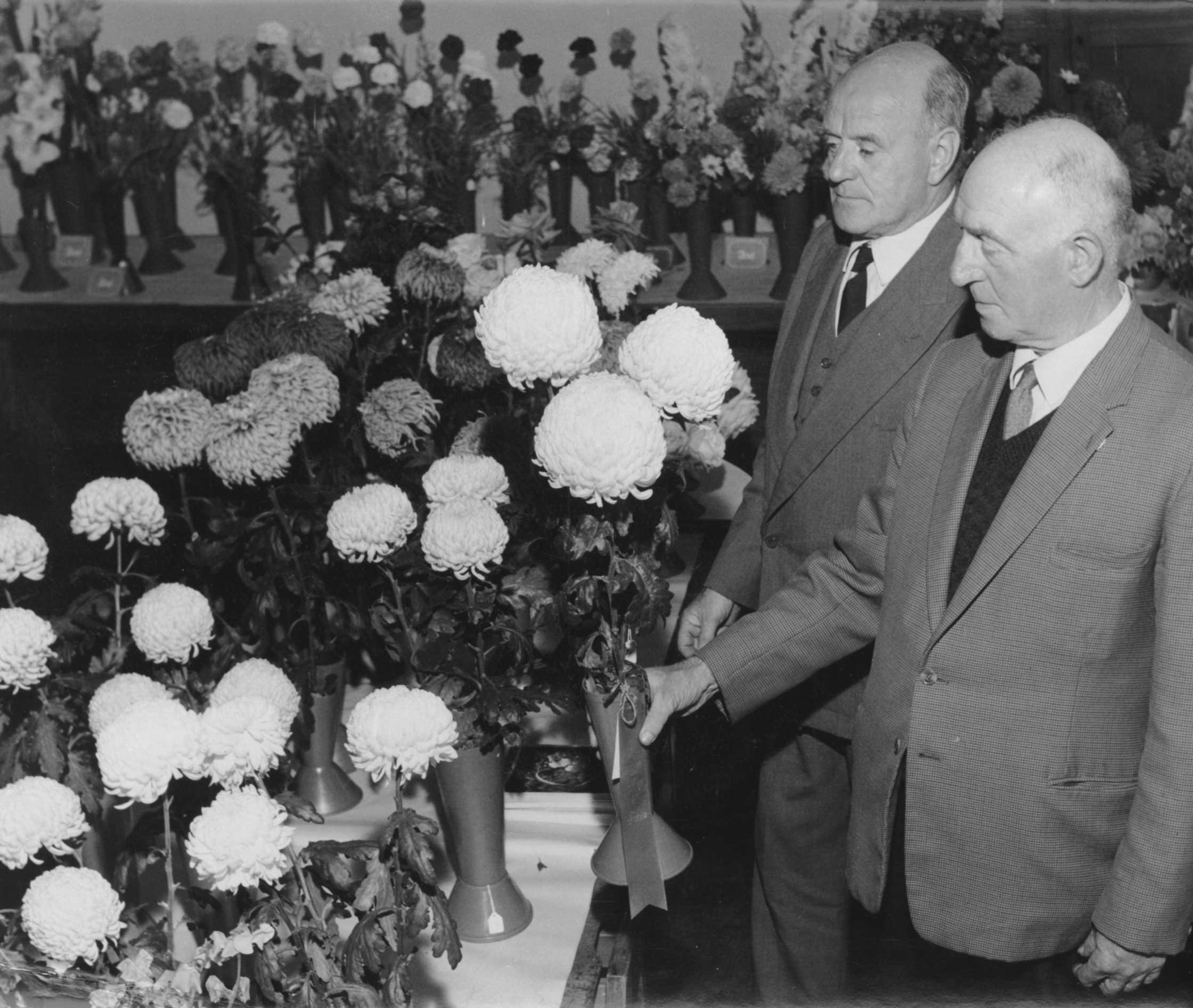 Horticultural Show 1