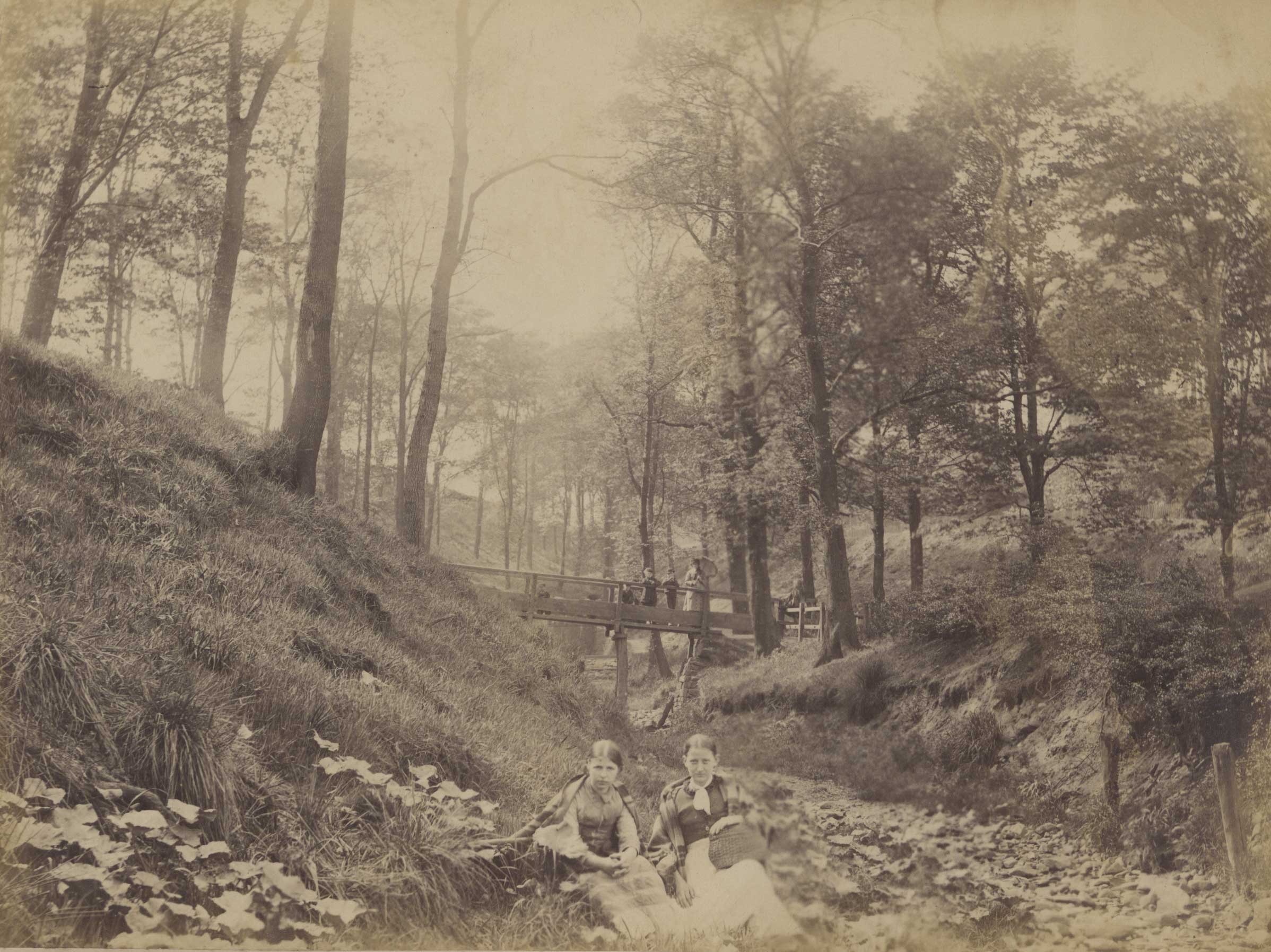 Footbridge at Great Lever 1